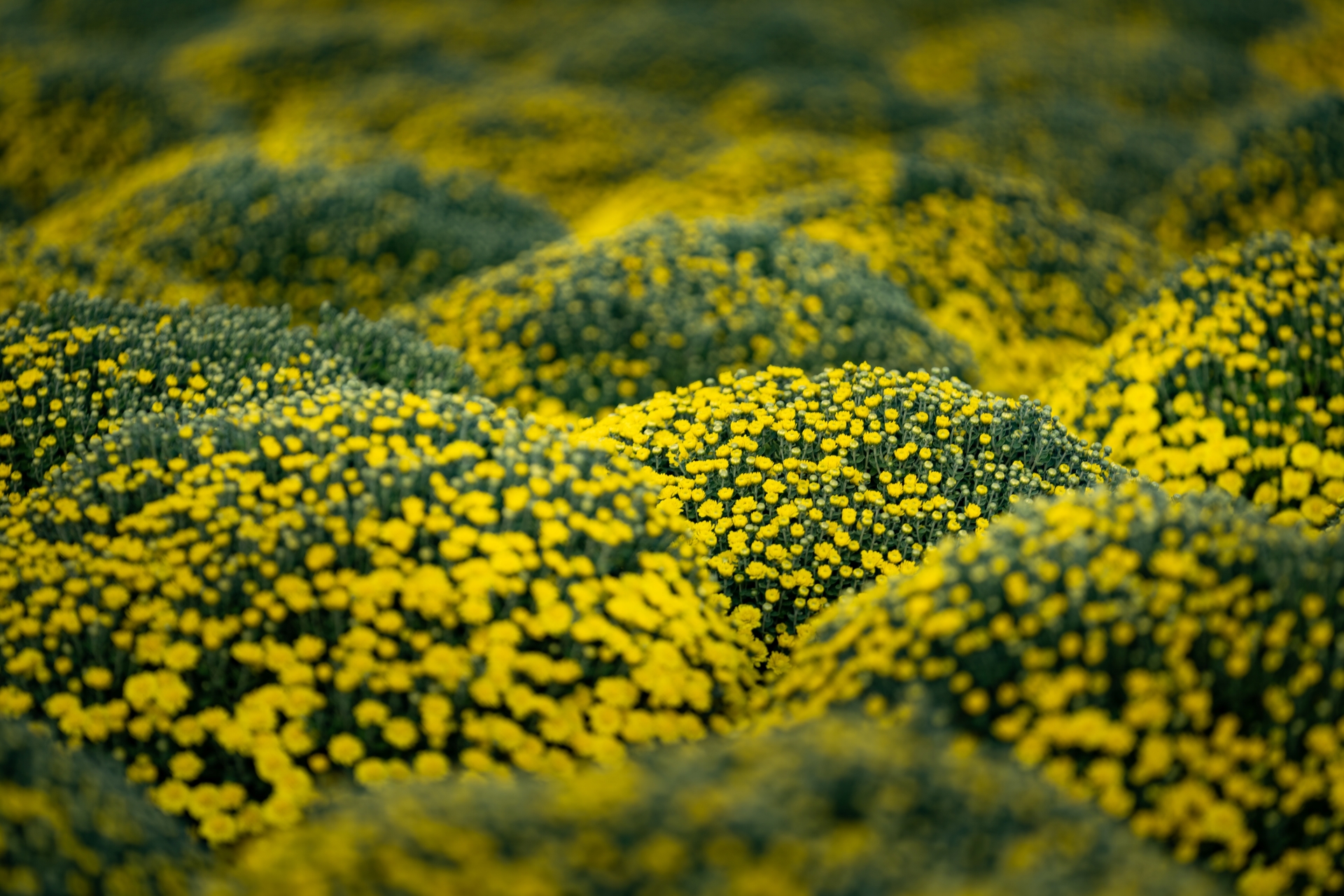 du lich la di nhung ngay dang… - 2