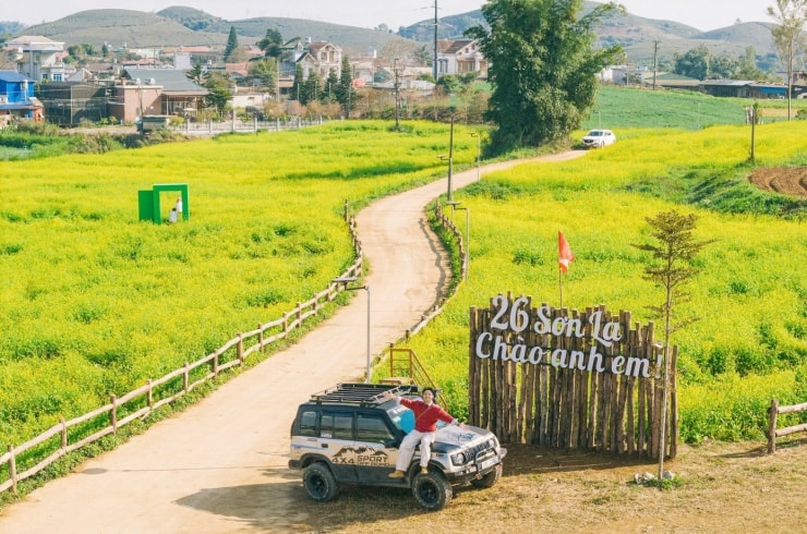 Cánh đồng hoa cải vàng rực rỡ dưới nắng tại cao nguyên Mộc Châu, Sơn La.
